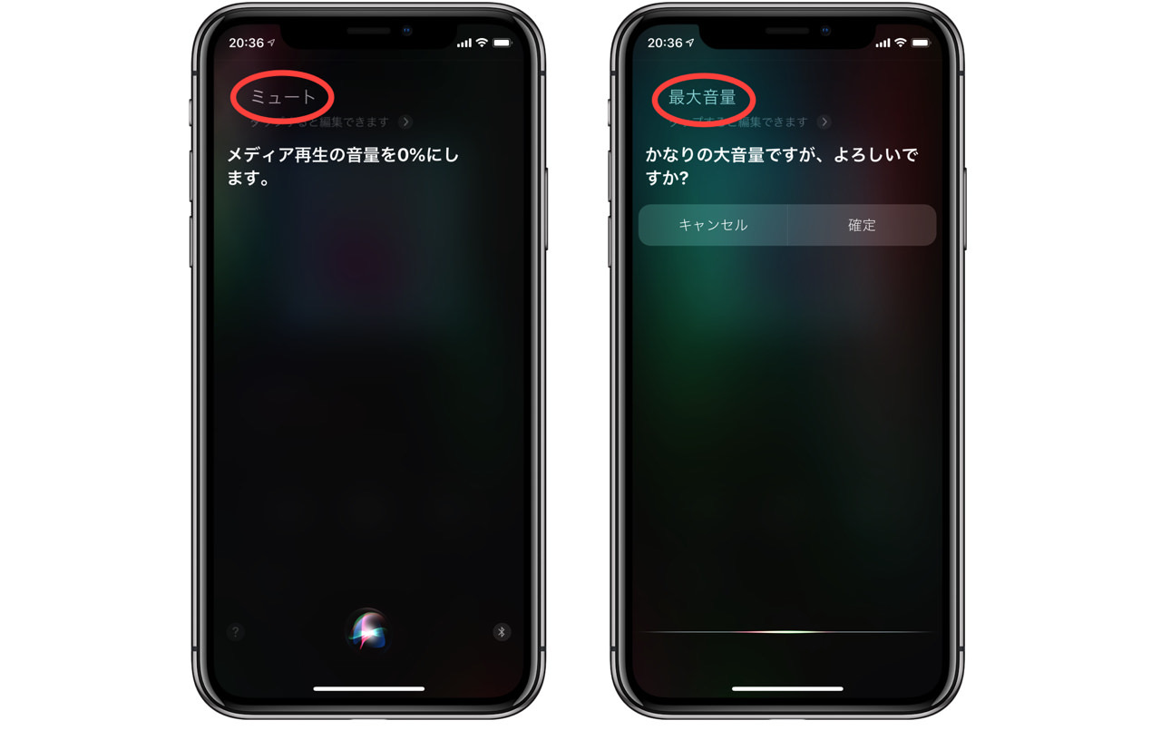 change-airpods-pro-volume5.jpg Siriに話しかける